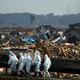 Foto: AP Images.